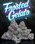 Jungle Boys | Frosted Gelato - 3.5g Flower - Image 2