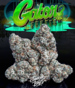 Jungle boys Gator breath - Image 2