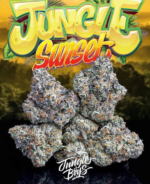 Jungle Boys | Jungle Sunset - 3.5g Flower - Image 4