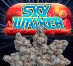 Jungle Boys | Skywalker OG - 3.5g Flower - Image 2