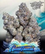 Jungle boys Animal Tsunami - Image 2