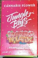 Jungle Boys | Jar Strawberries N Cream - 3.5g Flower - Image 2