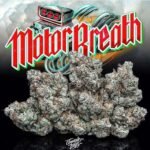 Jungle Boys | Motor Breath - 3.5g Flower - Image 2