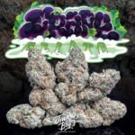 Jungle Boys | Grape Gelato #15 - 3.5g Flower - Image 2