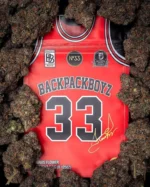 Backpack Boyz | Scottie Pippen 3.5g - Image 2