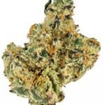 Banana breath strain