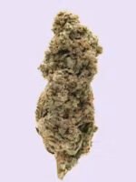 Ice Cream Cake Strain 3.5G - Image 2